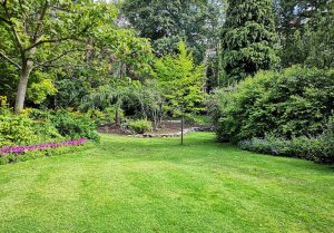 Optimiser l'expérience du jardin à Saint-Didier-sur-Arroux